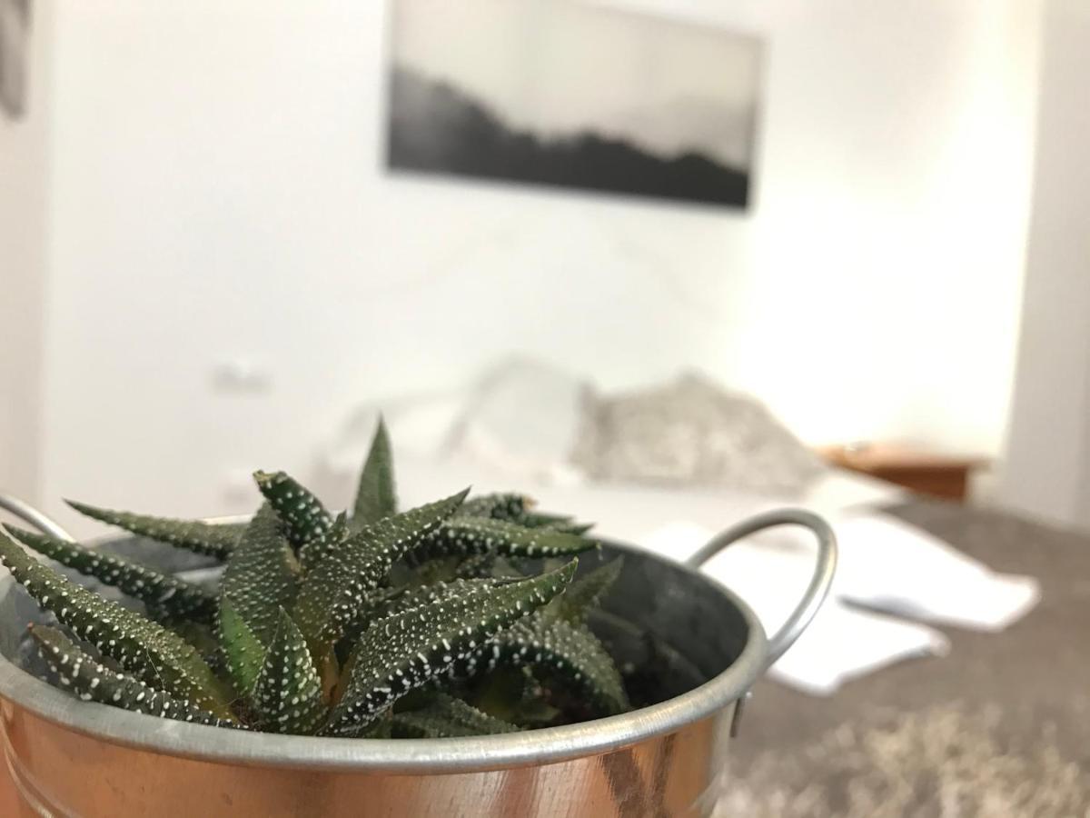 Apartamentos Arha Potes Eksteriør bilde